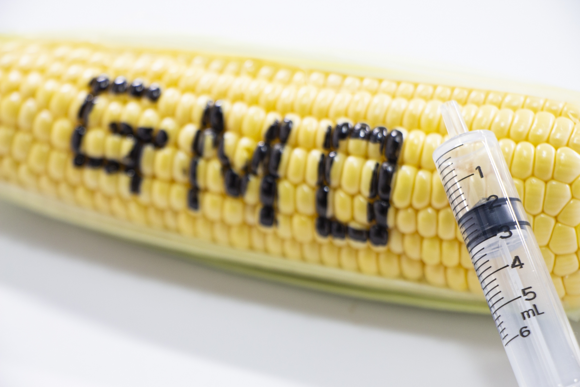 gmocorn